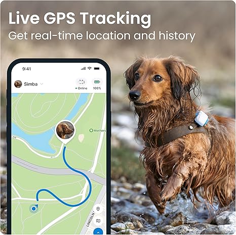 81PiChRvIwL._AC_SX466_