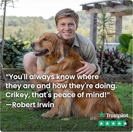 81iZapnJXXL._AC_SX466_