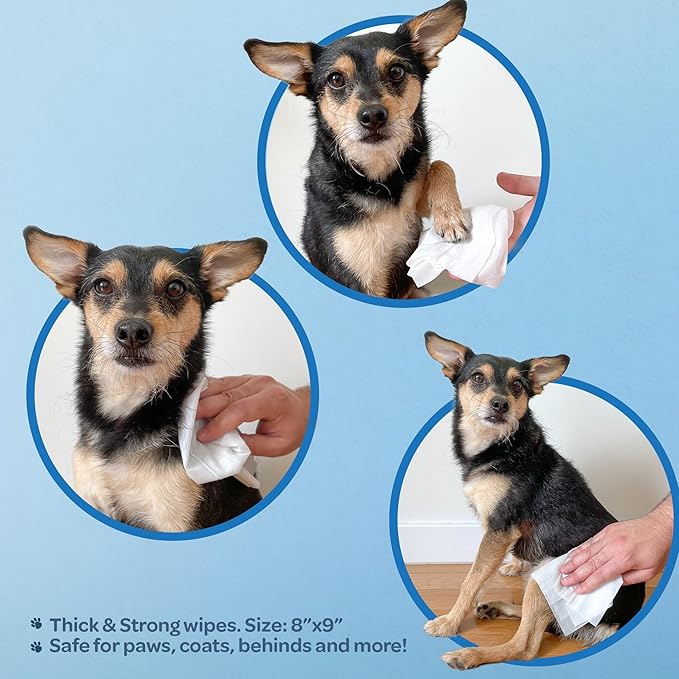 81omL8Qu2CL._AC_SX679_